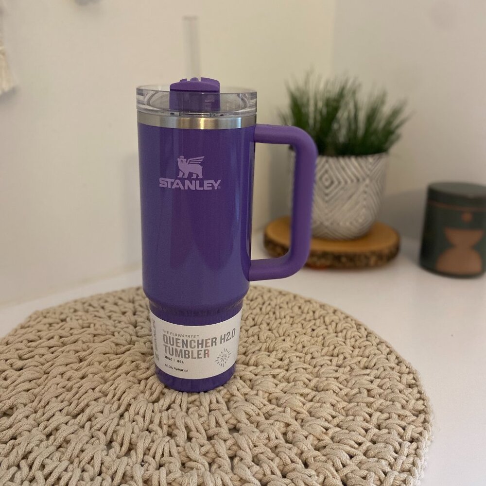 NEW Stanley 30Oz. IceFlow Flip Straw Tumbler - Winter Wonderland -Dahlia Shimmer